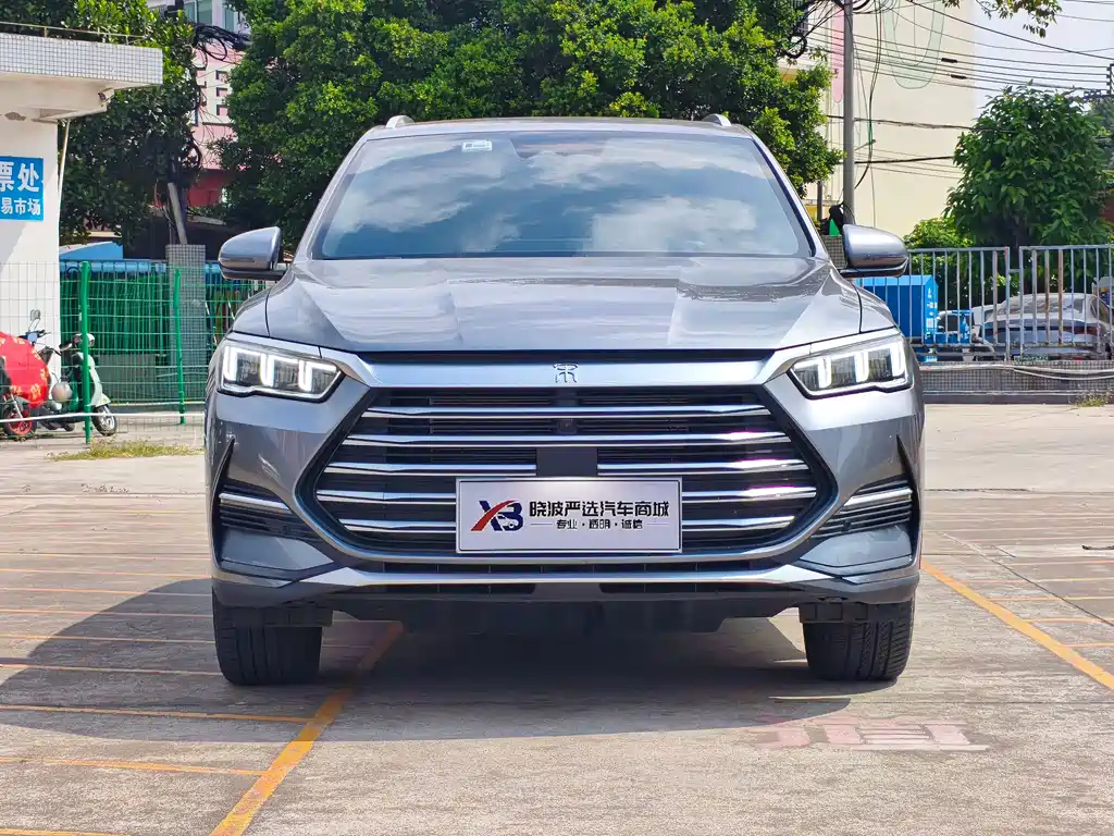 BYD Pro New Energy — миниатюра 2