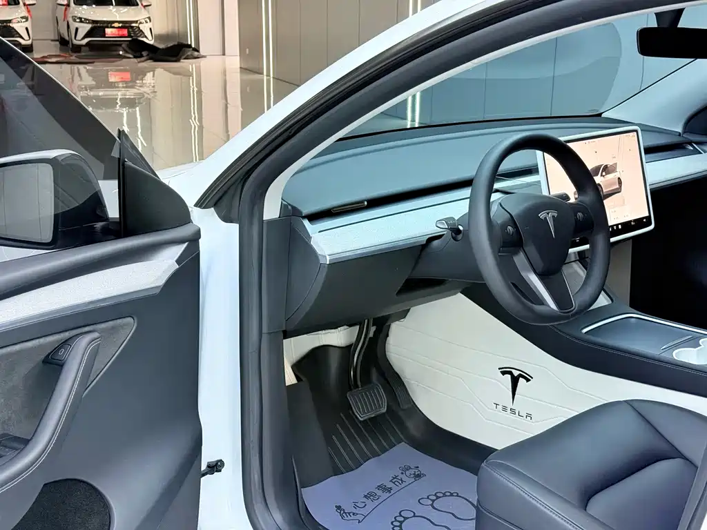 Tesla Model Y — миниатюра 4