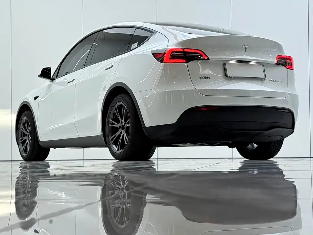 Tesla Model Y — миниатюра 14