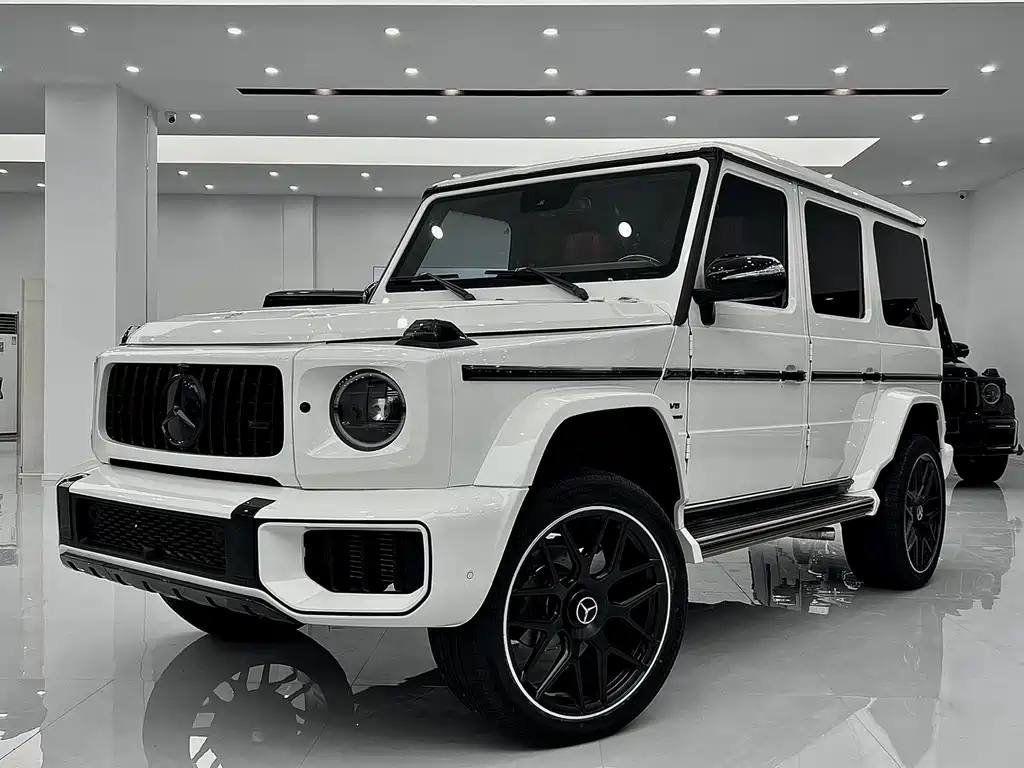 MERCEDES-BENZ  G CLASS