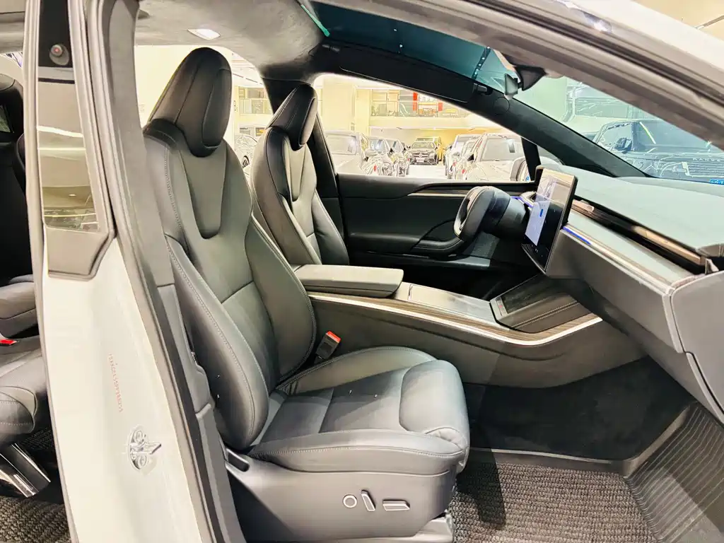 Tesla Model X — миниатюра 19