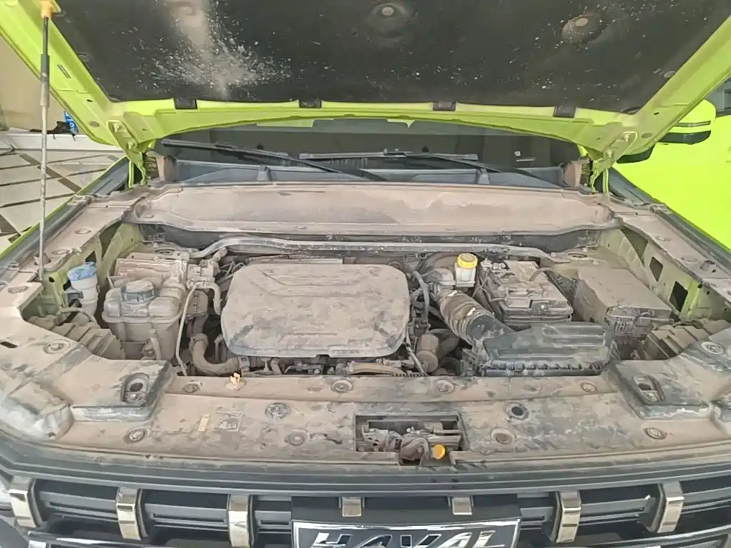 Haval Cool Dog — миниатюра 20
