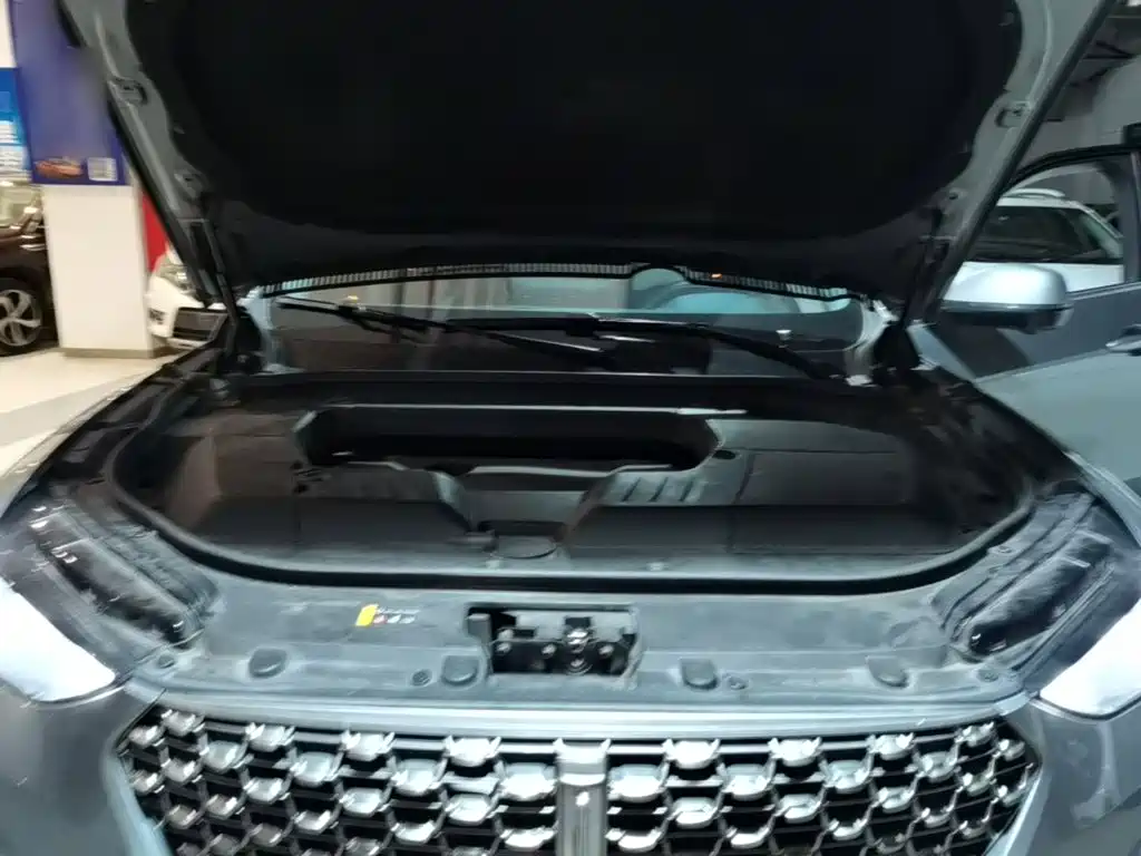 Wey Wey VV6 — миниатюра 20
