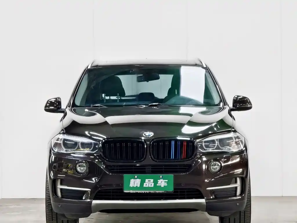 BMW X5 2014 xDrive35i Lead