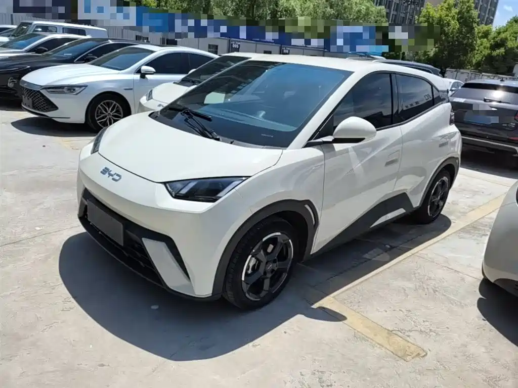 Byd Seagull 2024
