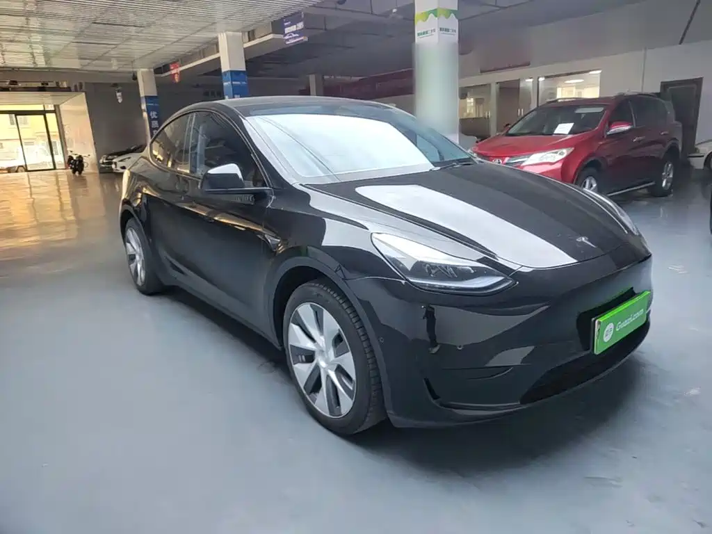 Tesla Model Y — миниатюра 4