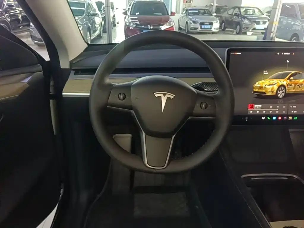 Tesla Model Y — миниатюра 11