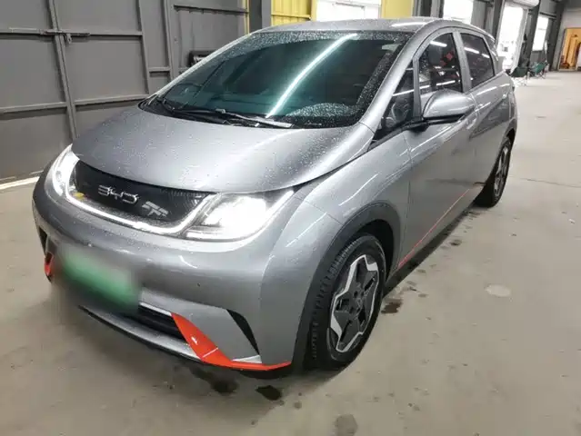 BYD Dolphin