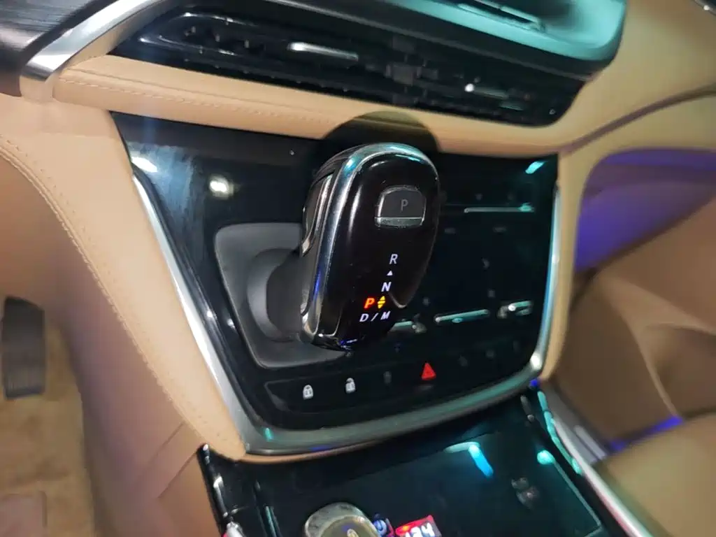 Buick GL8 — миниатюра 14