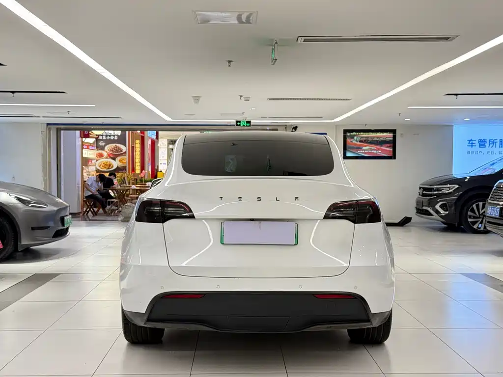 Tesla Model Y — миниатюра 6