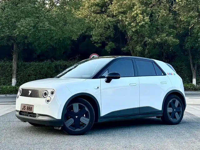 FIREFLY FIREFLY  2025