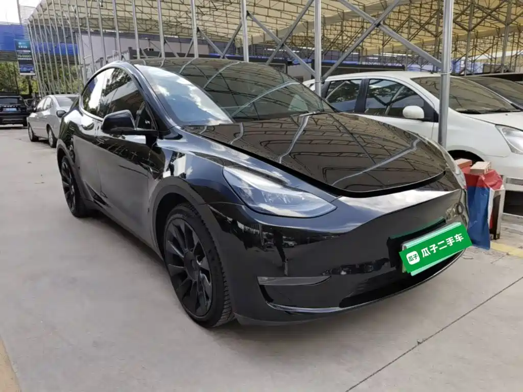Tesla Model Y — миниатюра 4