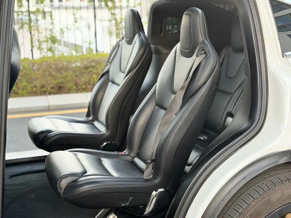 Tesla Model X — миниатюра 7