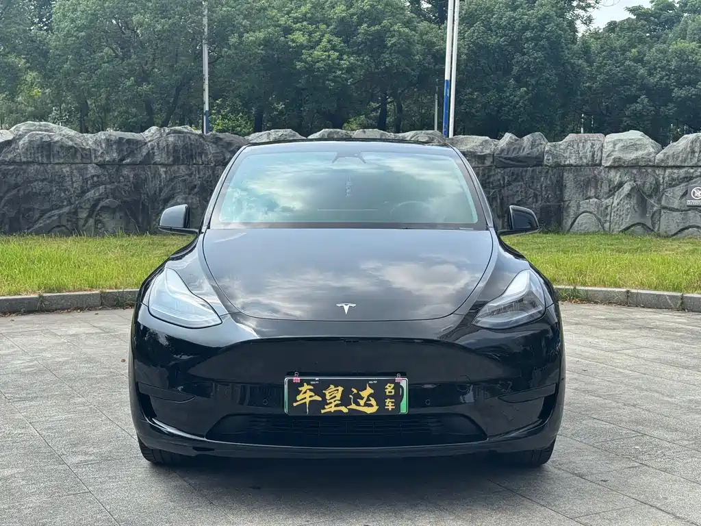 Tesla Model Y — миниатюра 2