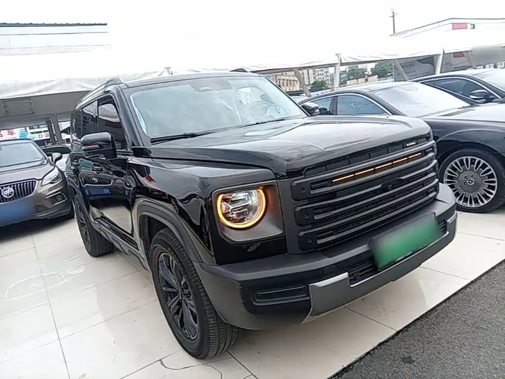 Haval Menglong New Energy — миниатюра 4