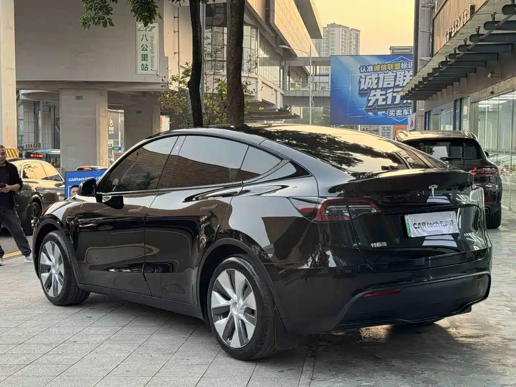 Tesla Model Y — миниатюра 4