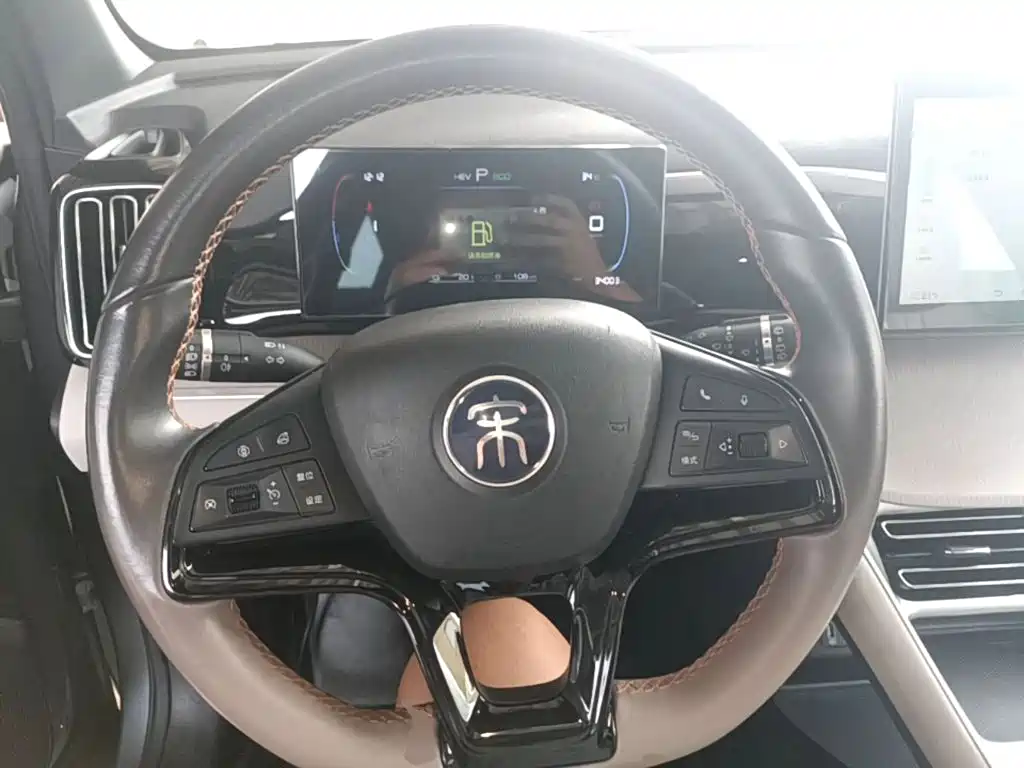 BYD Pro New Energy — миниатюра 11