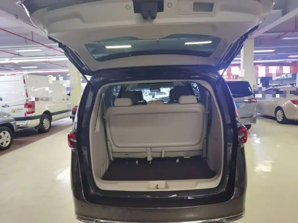 Buick GL8 — миниатюра 19