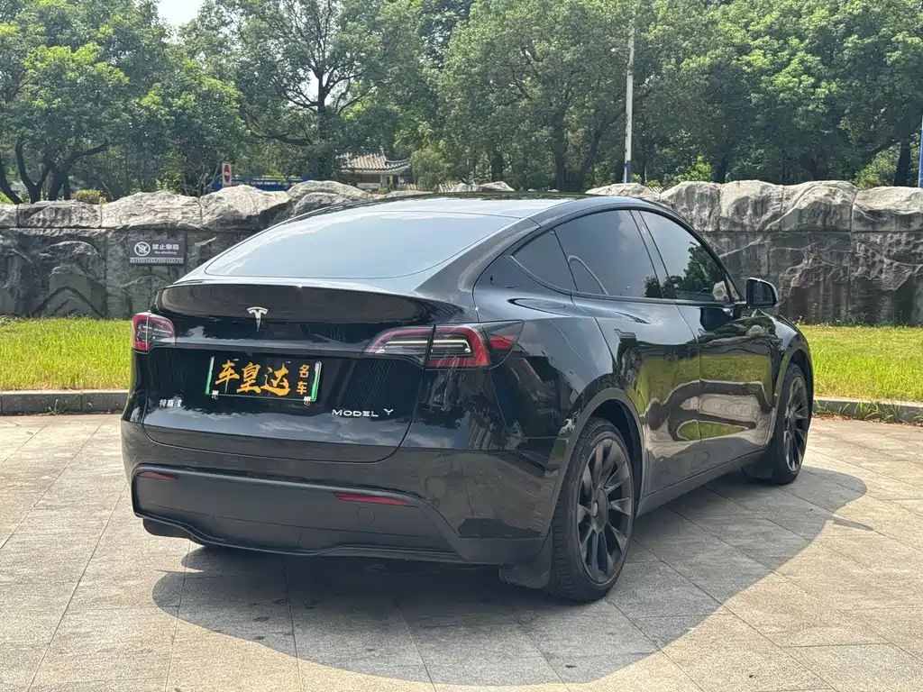 Tesla Model Y — миниатюра 6