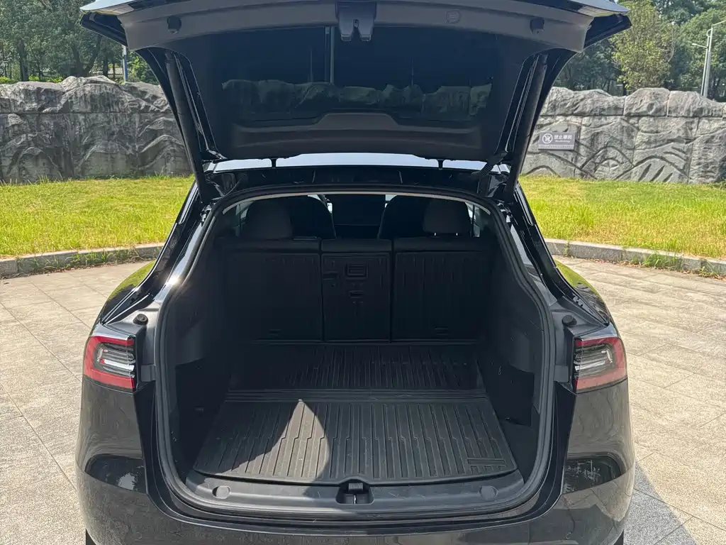 Tesla Model Y — миниатюра 7