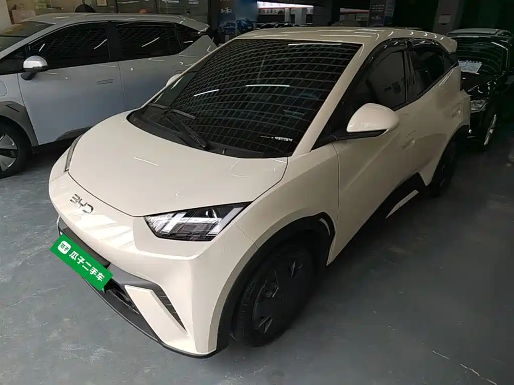 Byd Seagull 2025