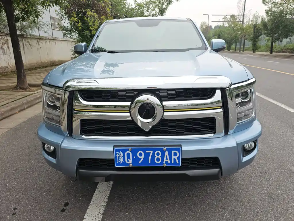 Great Wall King Kong Pao — миниатюра 2