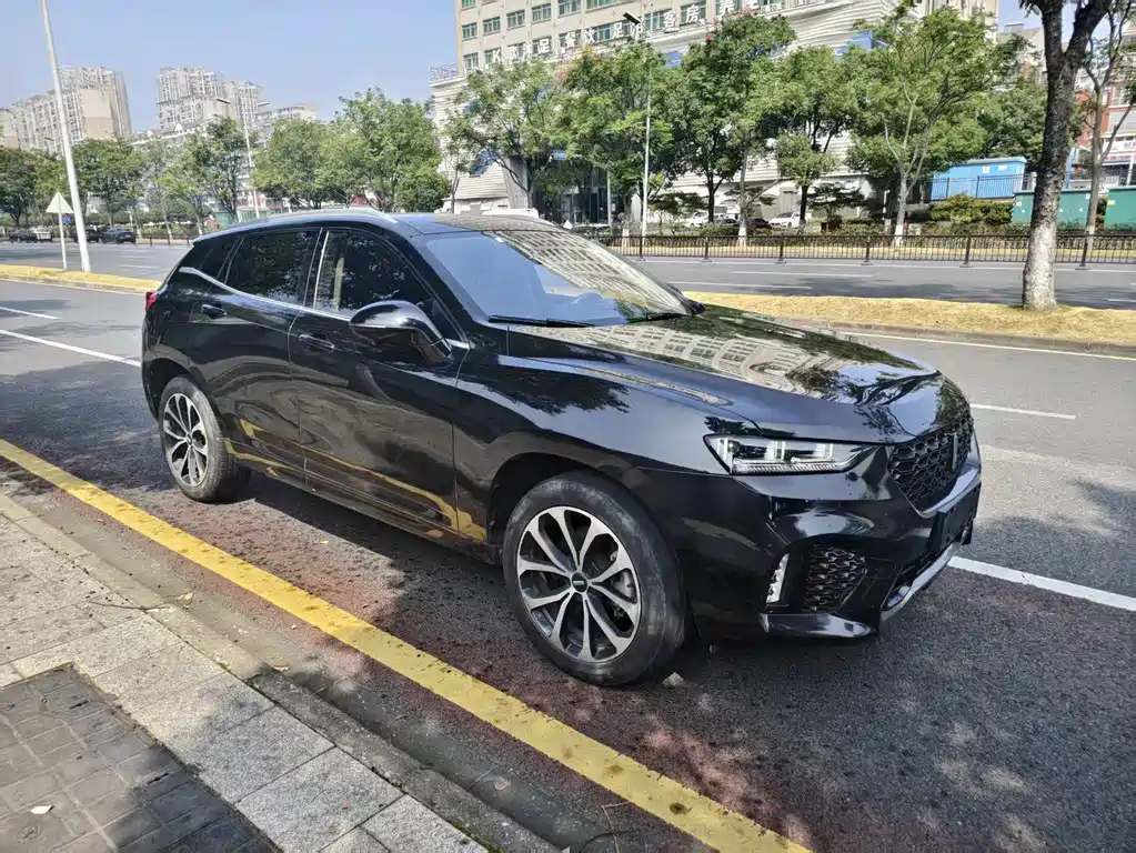Wey Wey VV7 — миниатюра 3