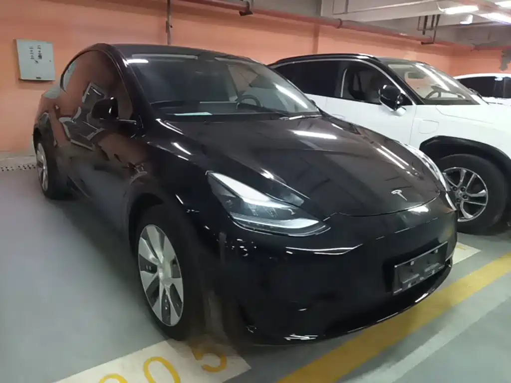 Tesla Model Y — миниатюра 4