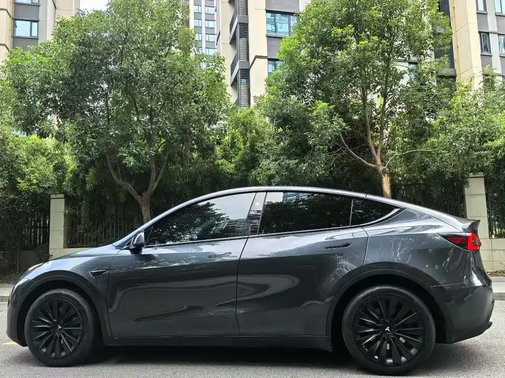 Tesla Model Y — миниатюра 9