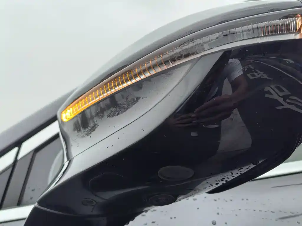 BYD Tang New Energy — миниатюра 10