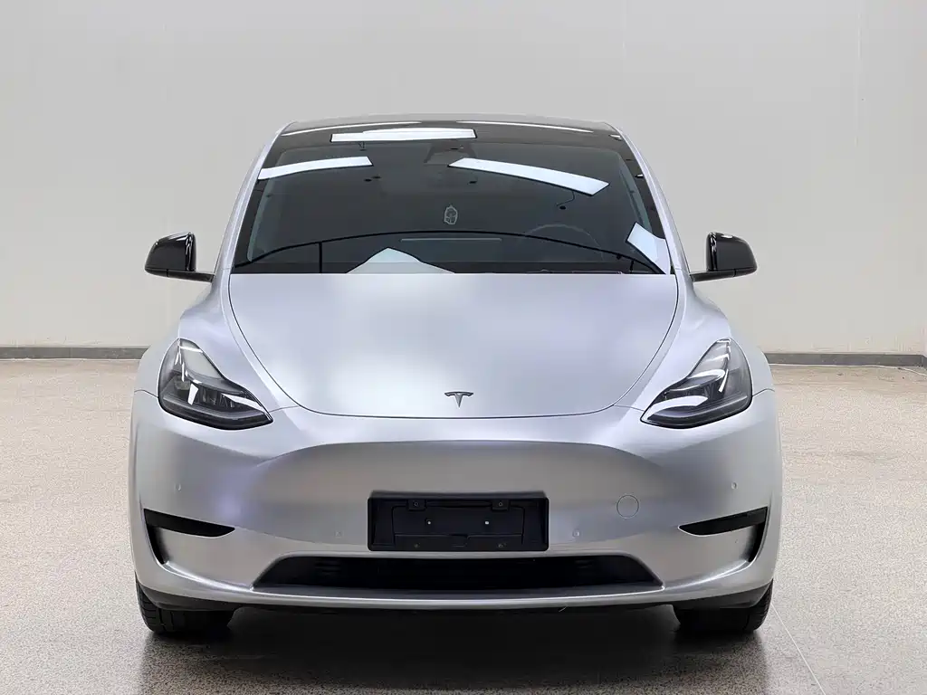 Tesla Model Y — миниатюра 2