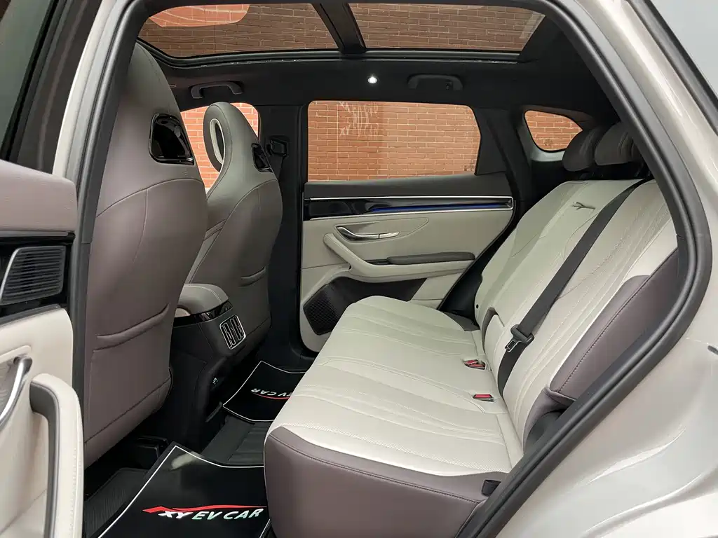 BYD SONGJIANG NEW ENERGY