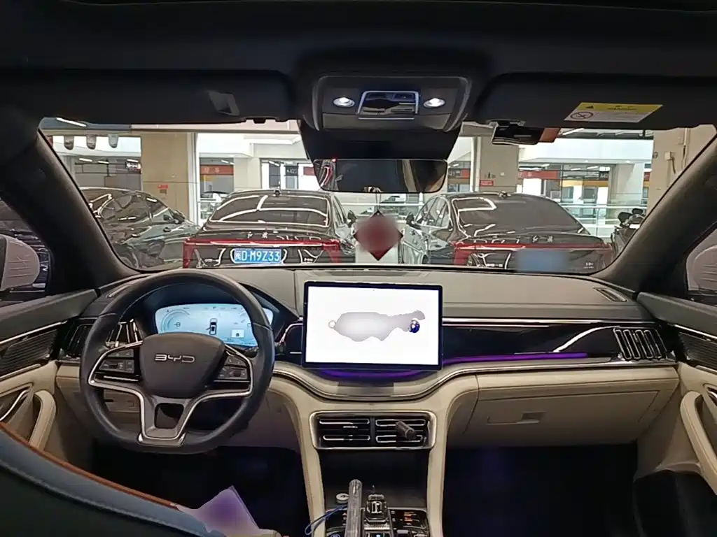 BYD PLUS New Energy — миниатюра 10