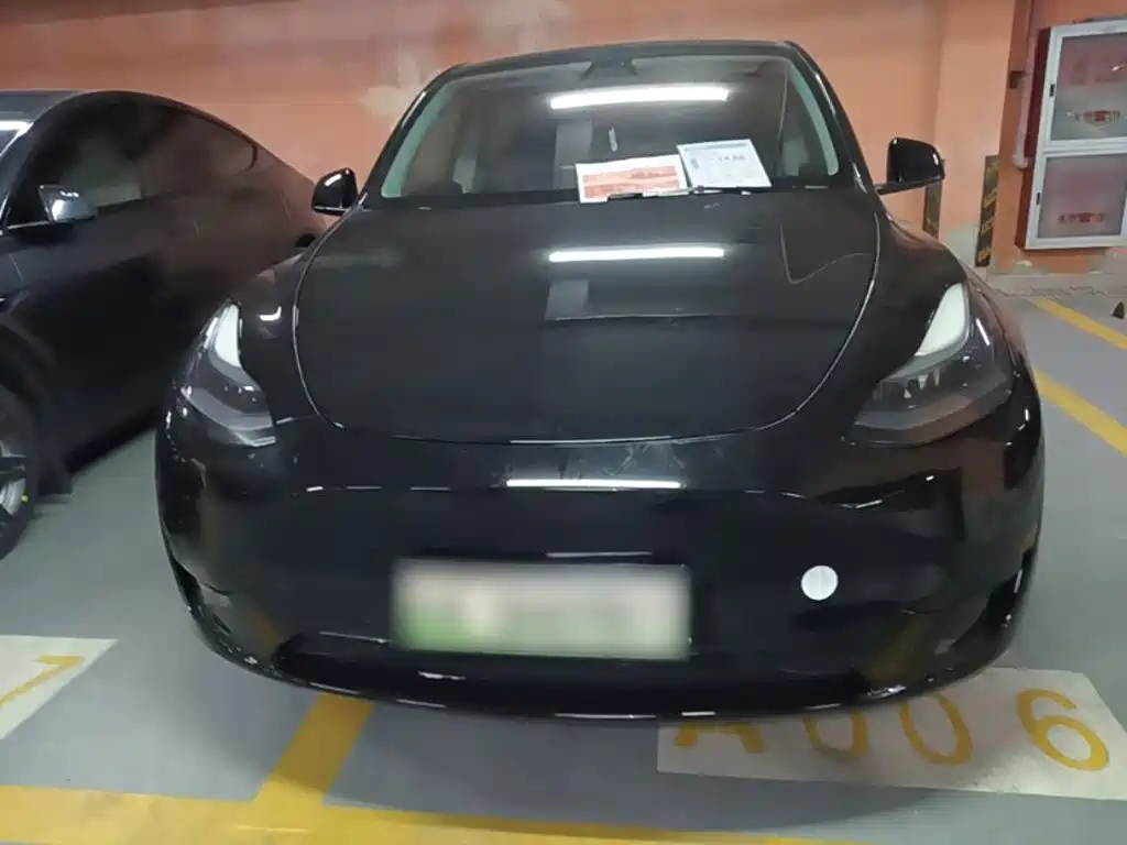 Tesla Model Y — миниатюра 3
