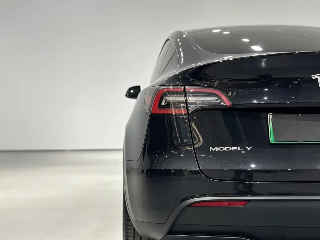Tesla Model Y — миниатюра 20