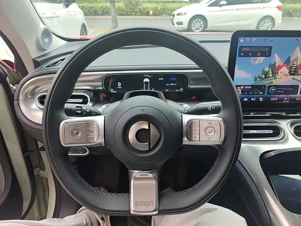 smart Smart #1 — миниатюра 11