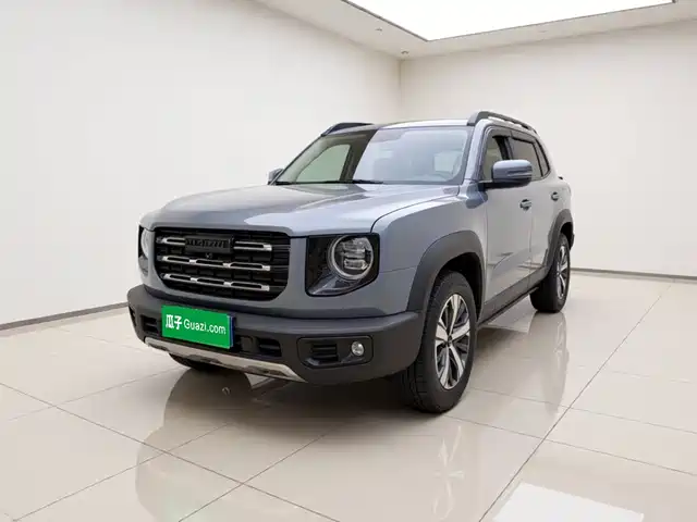 2021 Haval Big Dog