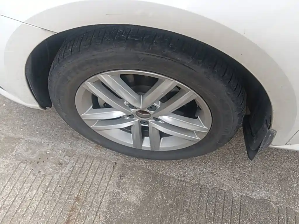 Volkswagen Gran Lavida — миниатюра 23