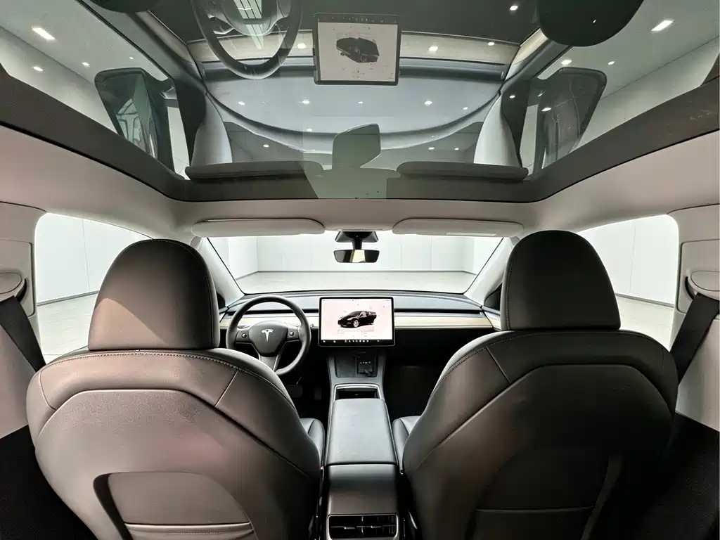 Tesla Model Y — миниатюра 16