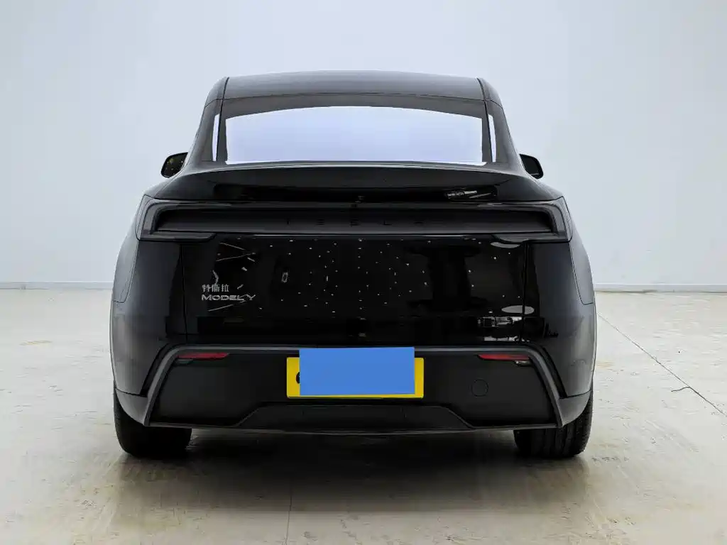 Tesla Model Y — миниатюра 12