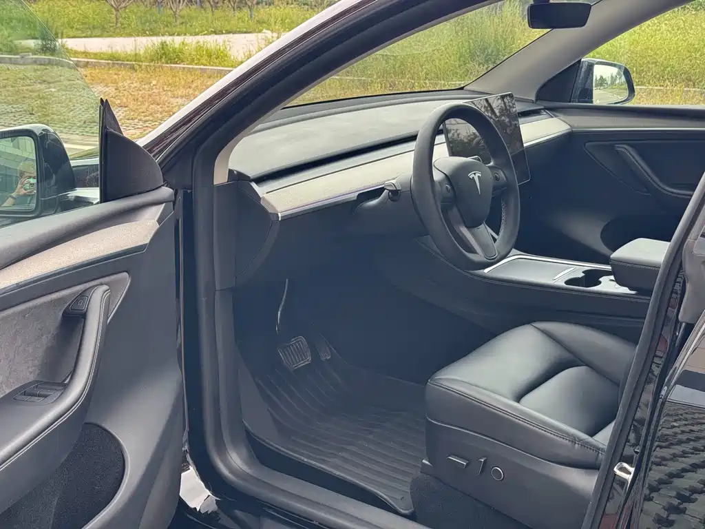 Tesla Model Y — миниатюра 20