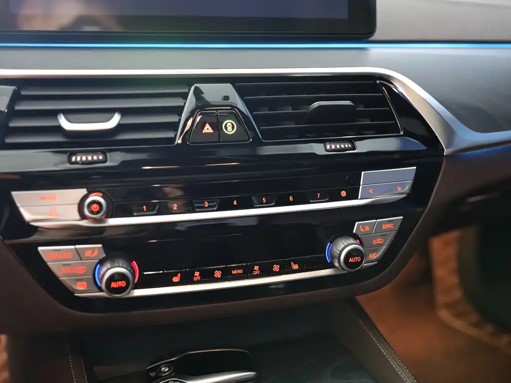 BMW 5 SERIES NEW ENERGY