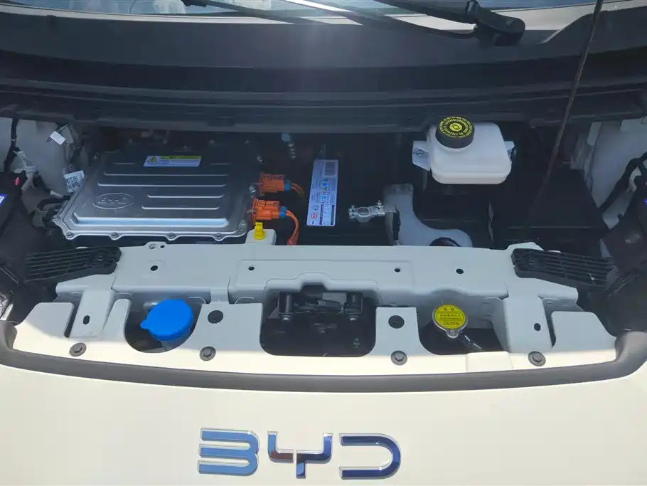 BYD Seagull 2024 305km