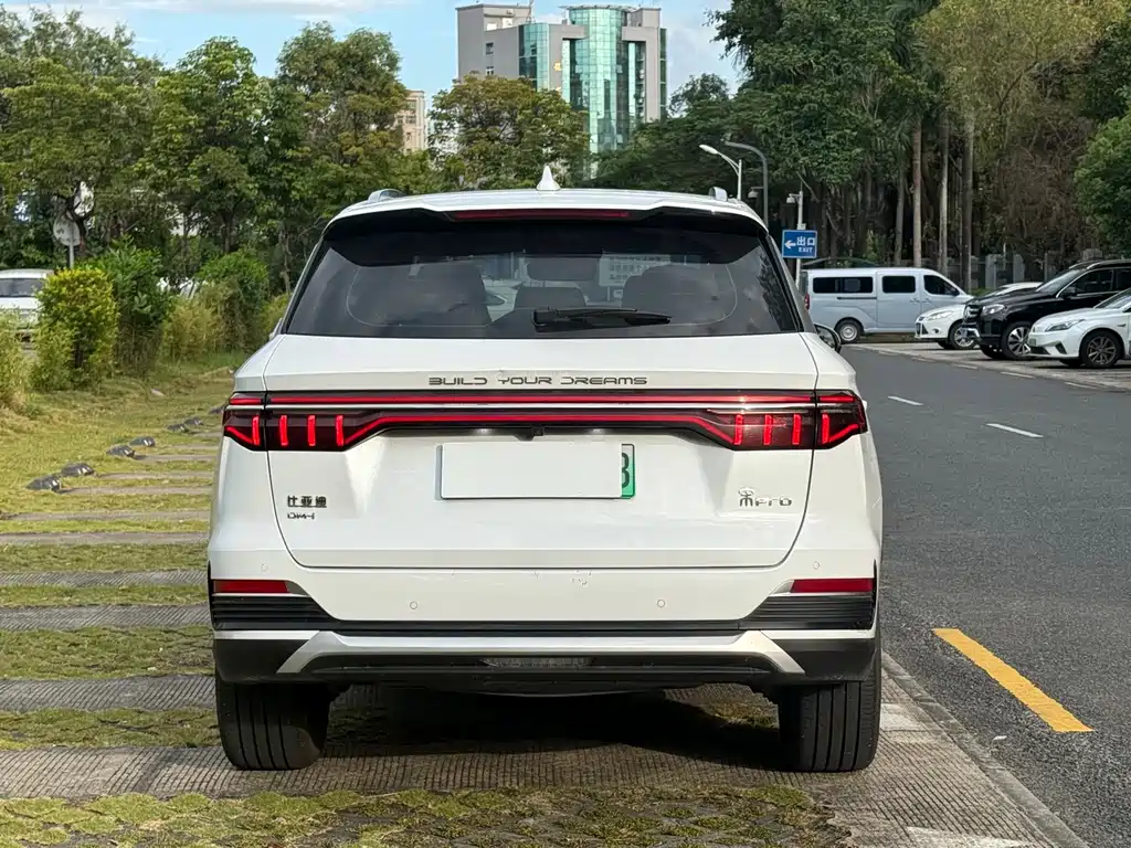 BYD Pro New Energy — миниатюра 8