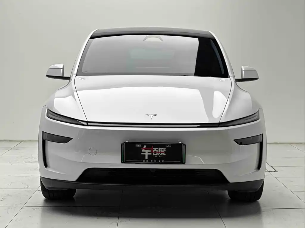 Tesla Model Y — миниатюра 2