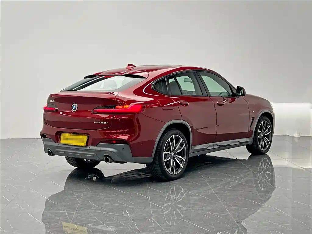 BMW X4 2019 xDrive25i M