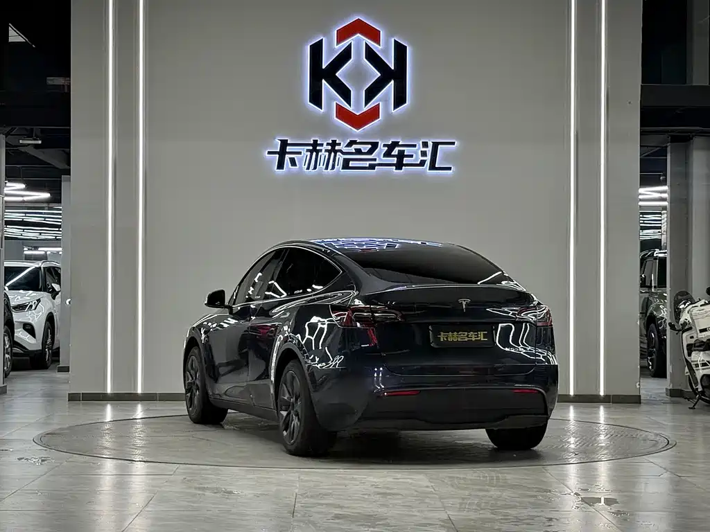 Tesla Model Y — миниатюра 7