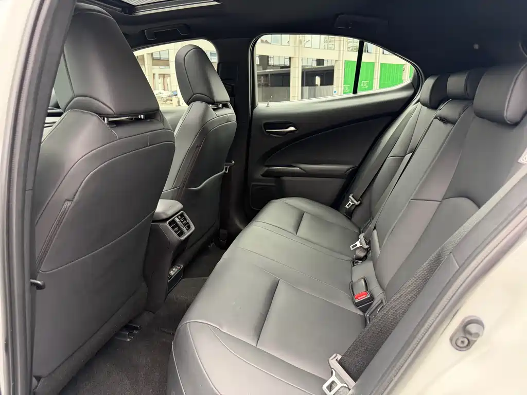 Lexus UX 2020 300e