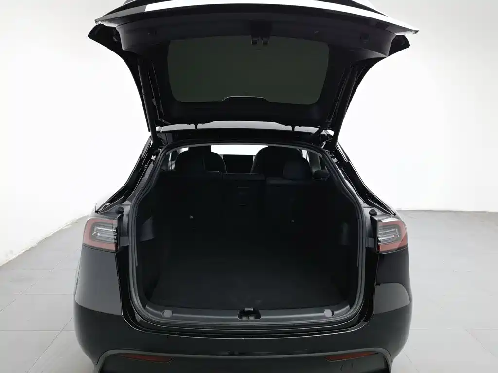 Tesla Model Y — миниатюра 16