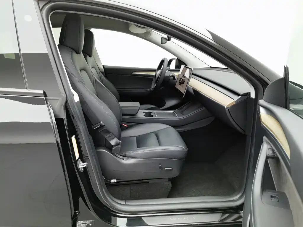 Tesla Model Y — миниатюра 23